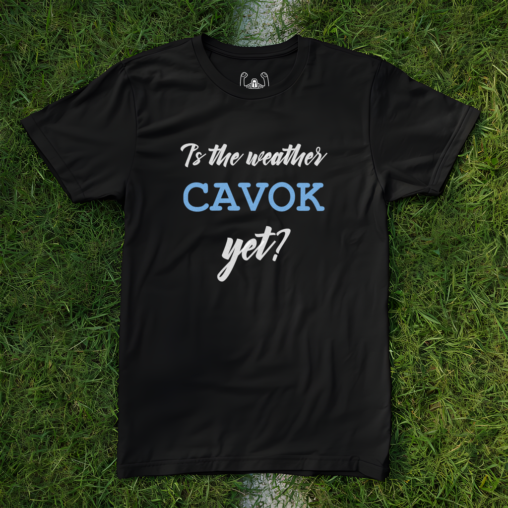 Is The Weather CAVOK Yet? Tee